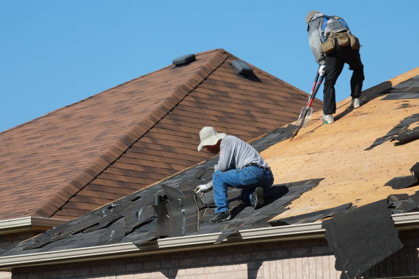 Best Roof Insulation Installation  in Union Hall, VA