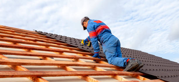 Best Roof Moss and Algae Removal  in Union Hall, VA