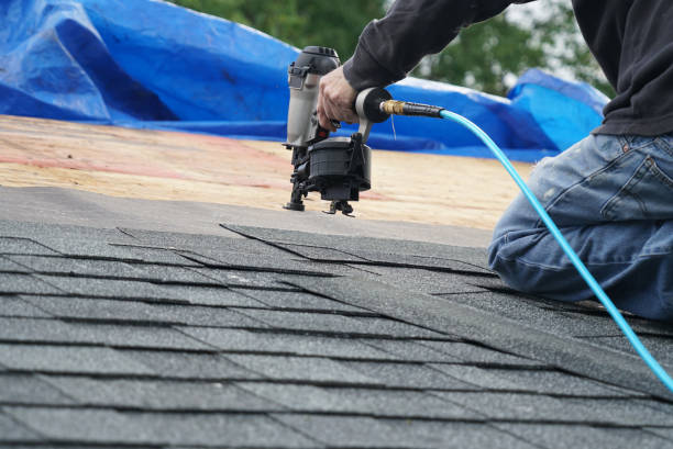 Best Solar Panel Roofing Installation  in Union Hall, VA